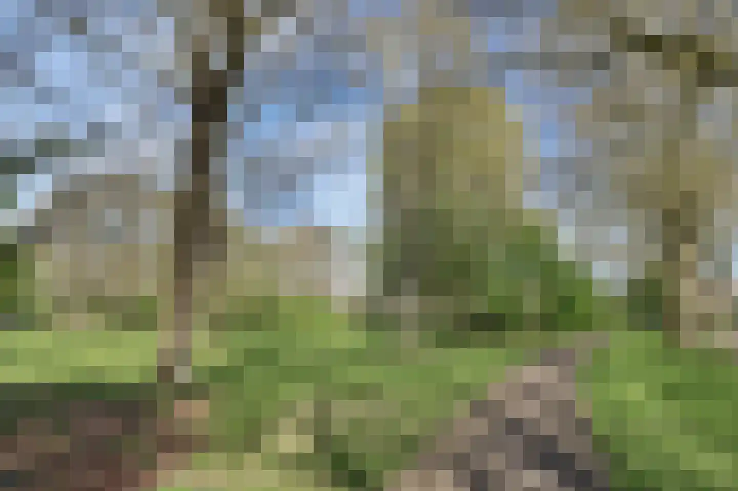 Parkweg 7 Goes thumbnail 6