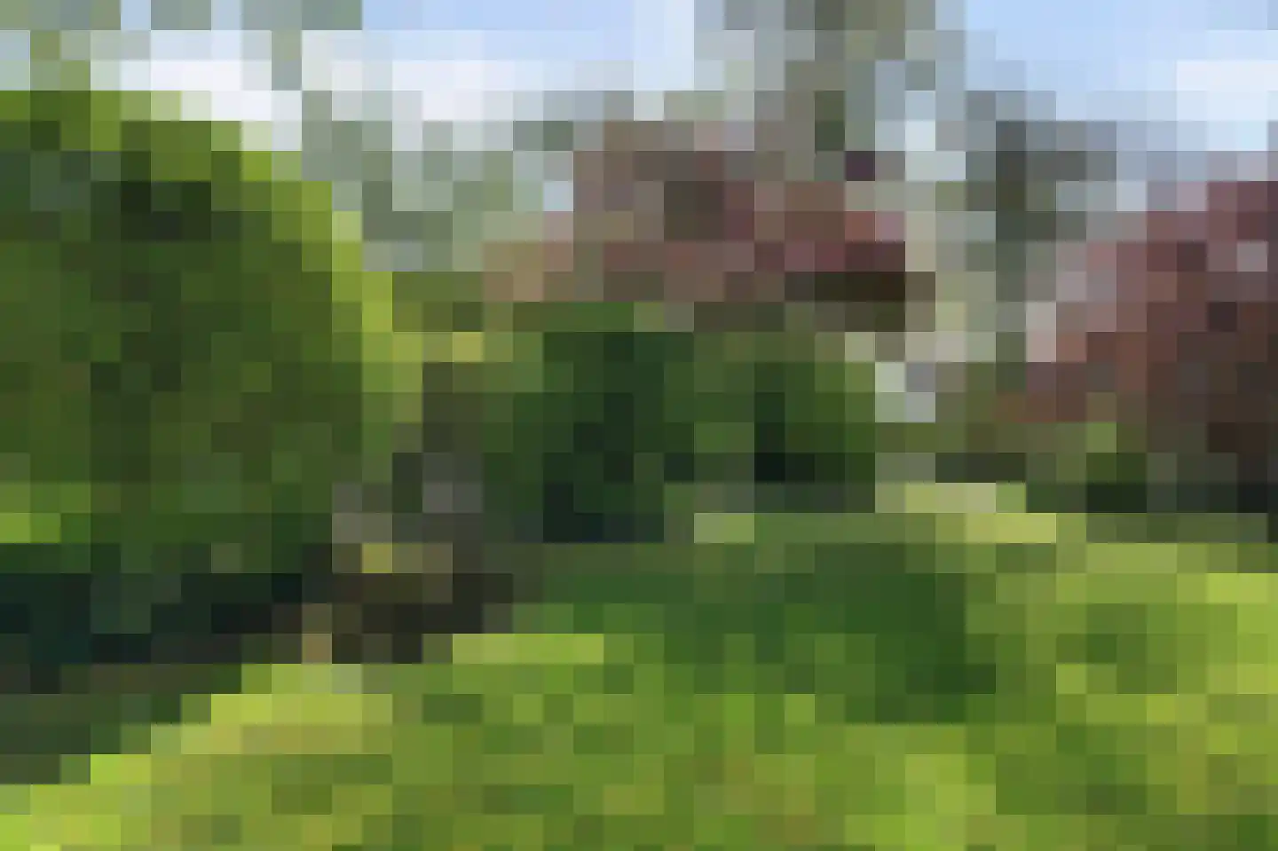 Parkweg 7 Goes thumbnail 61