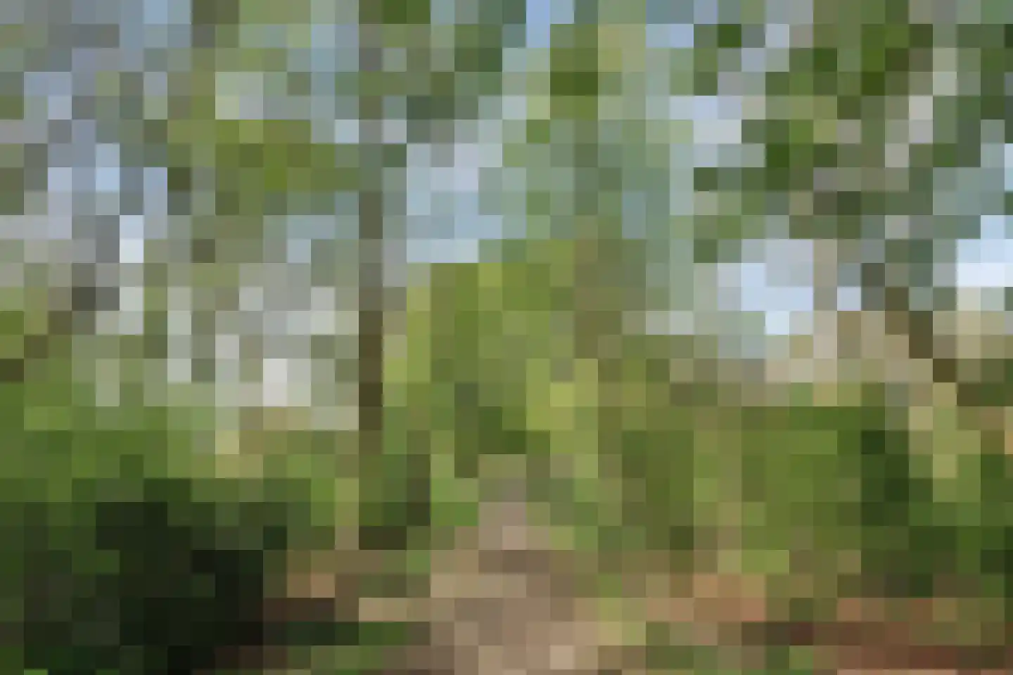 Parkweg 7 Goes thumbnail 65