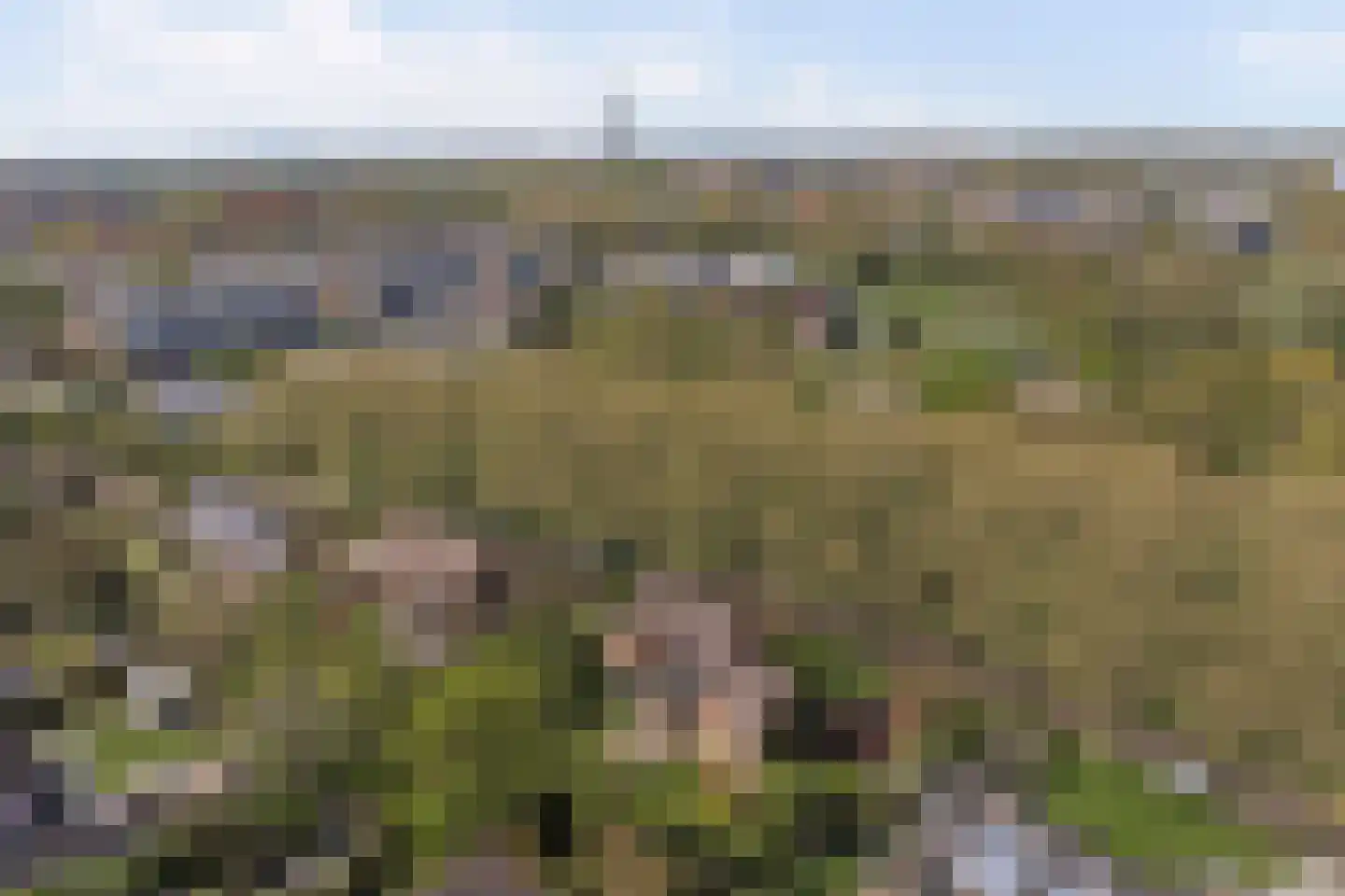 Parkweg 7 Goes thumbnail 66
