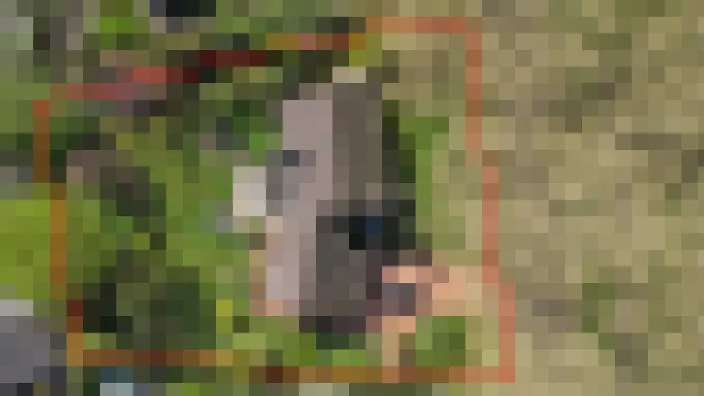 Parkweg 7 Goes thumbnail 68