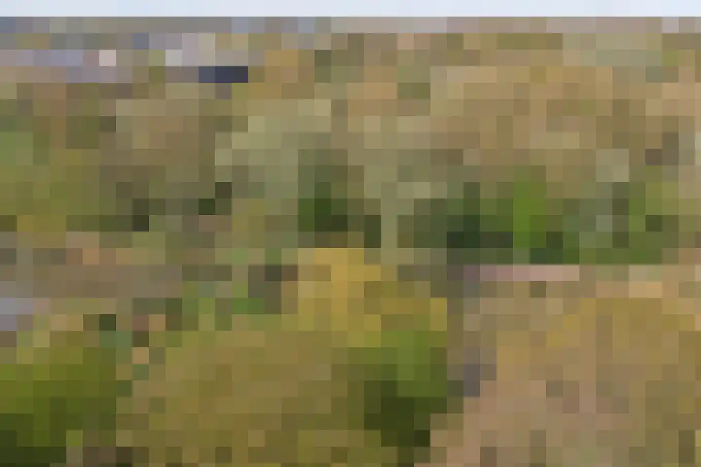 Parkweg 7 Goes thumbnail 69