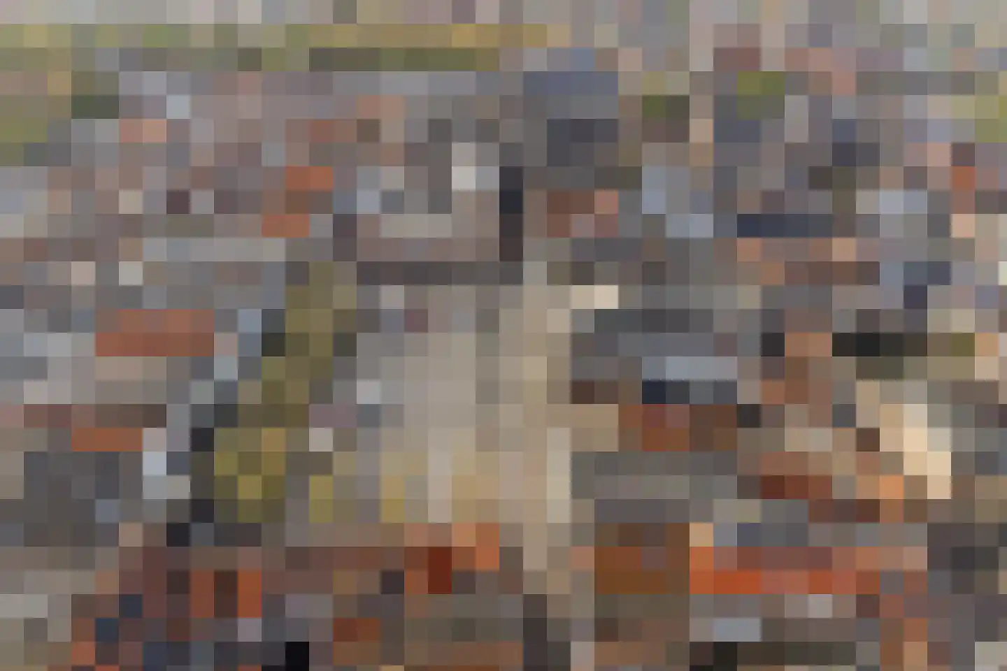 Parkweg 7 Goes thumbnail 72