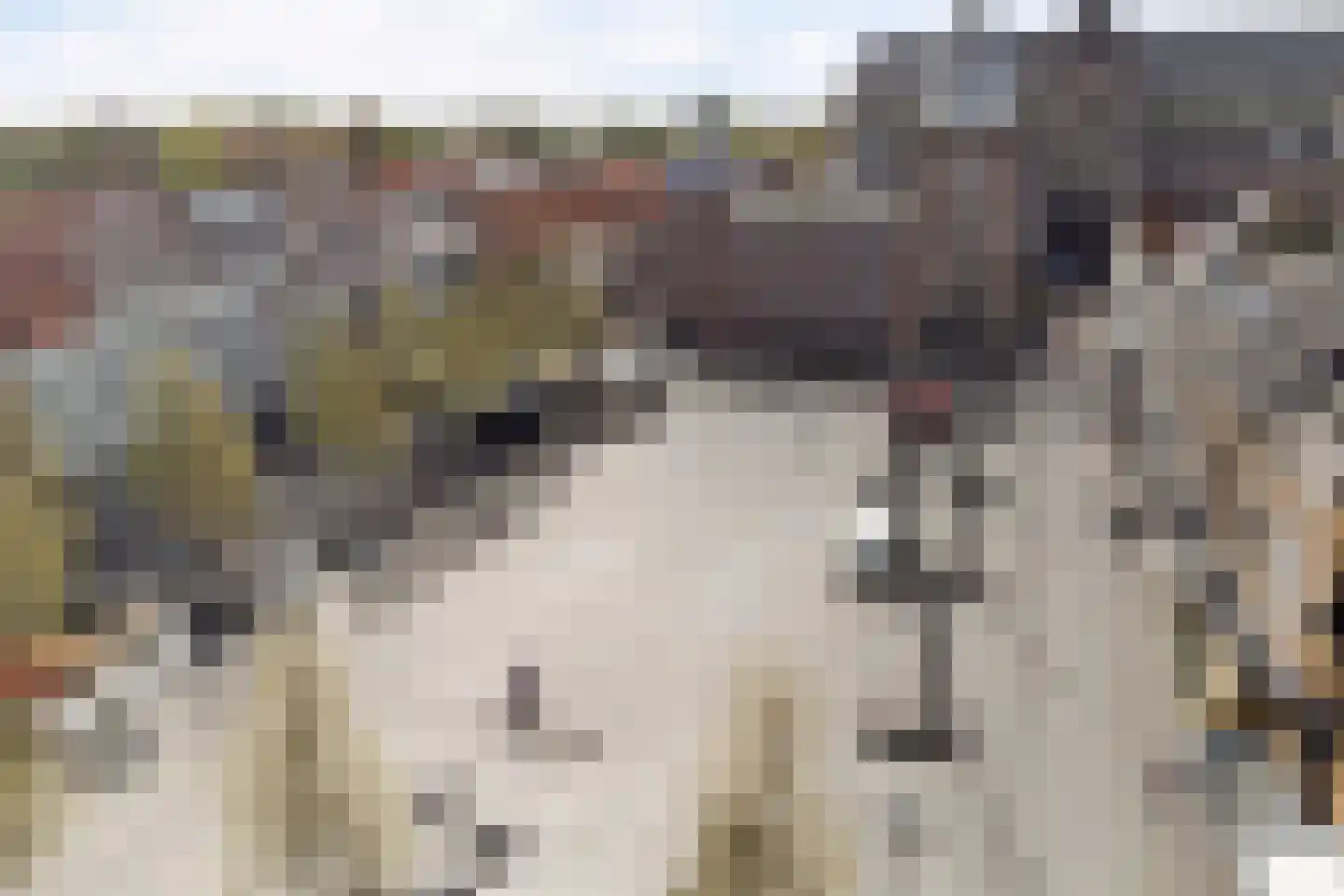 Parkweg 7 Goes thumbnail 77
