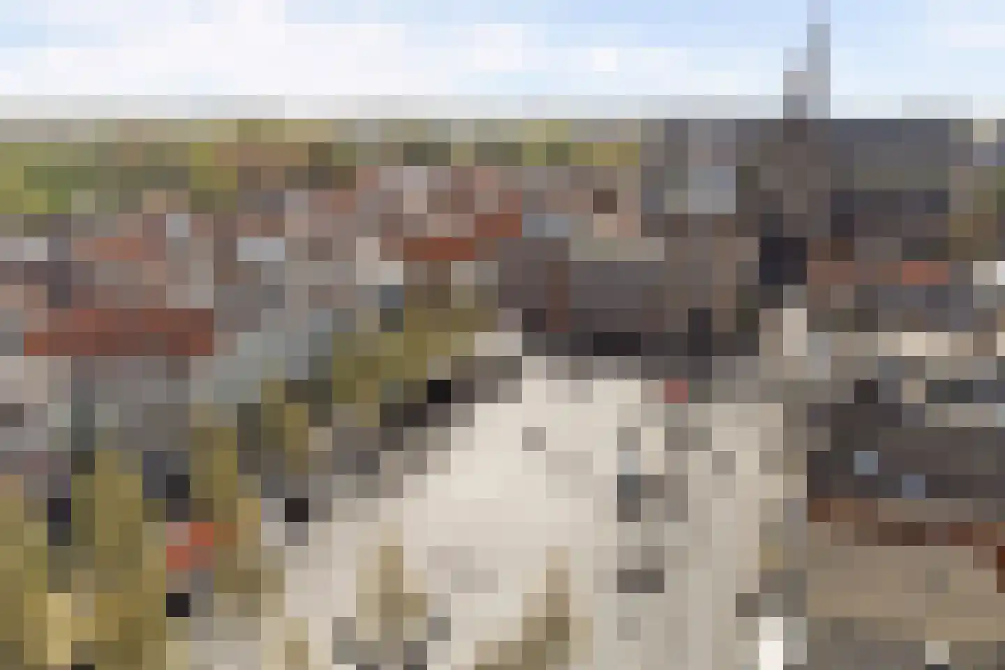 Parkweg 7 Goes thumbnail 78