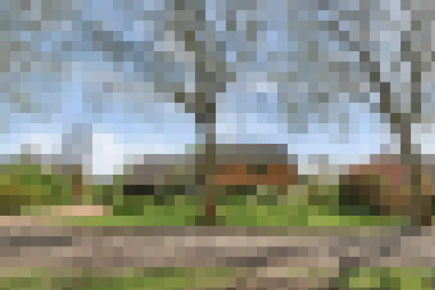 Parkweg 7 Goes thumbnail 8