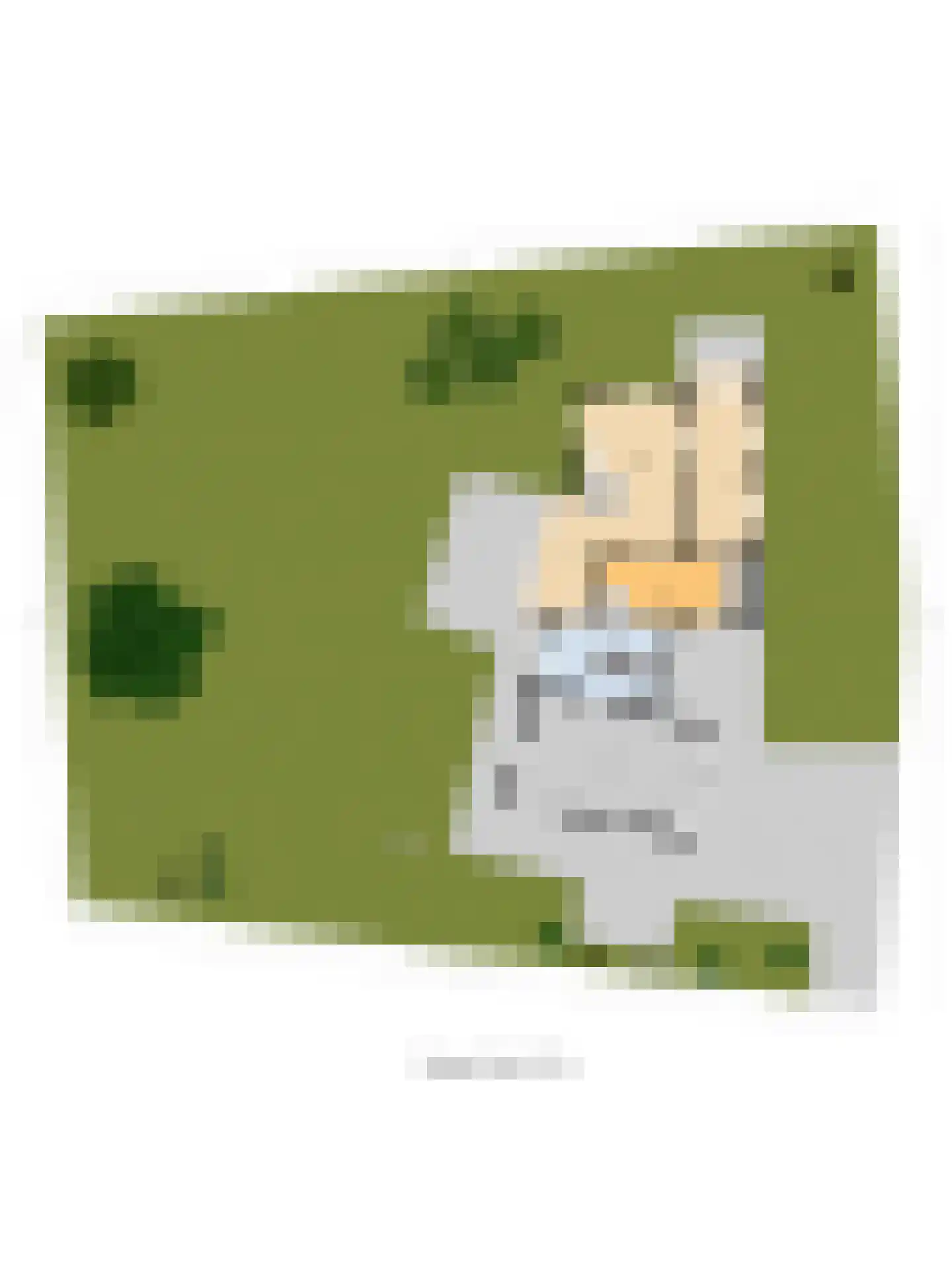 Parkweg 7 Goes thumbnail 83