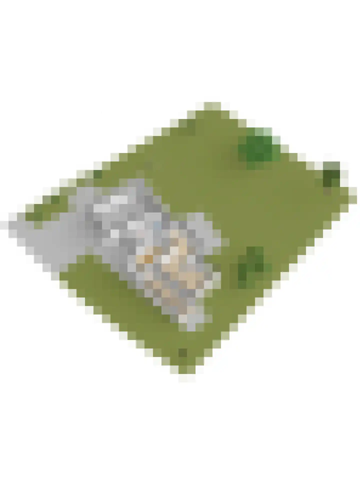 Parkweg 7 Goes thumbnail 87