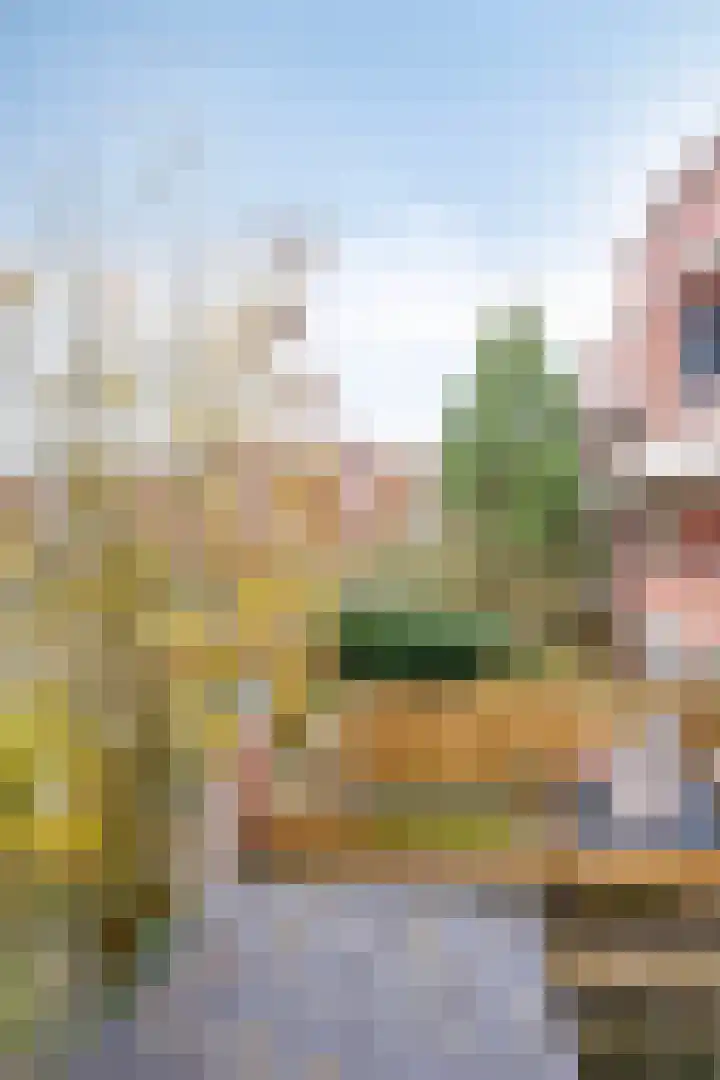 Parkweg 72 b Groningen thumbnail 25
