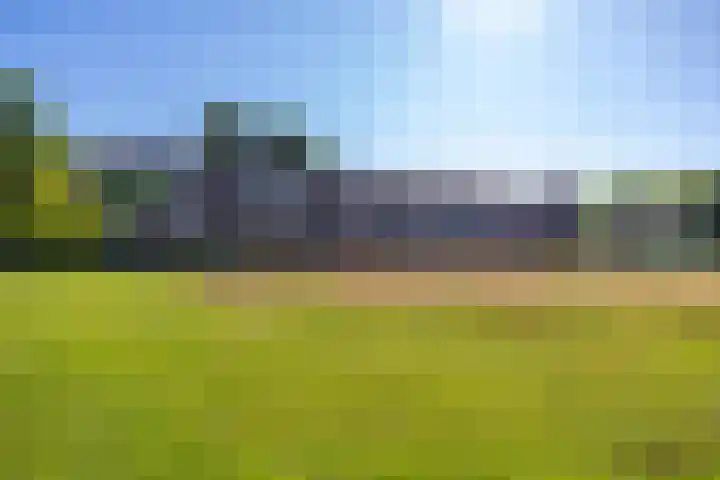 Parkweg 76 Haren Gn thumbnail 6