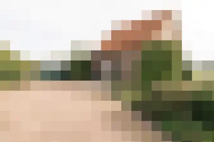 Parkweg 80 Beesd thumbnail 7