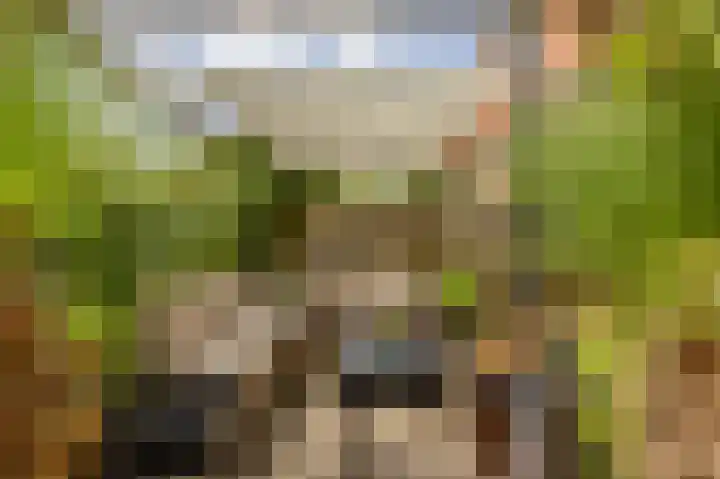 Parkweg 80 Groningen thumbnail 29