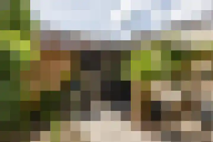 Parkweg 80 Groningen thumbnail 30