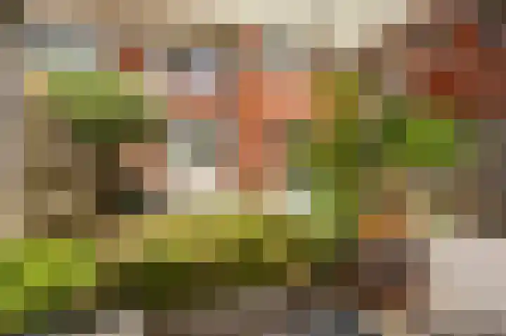Parkweg 80 Groningen thumbnail 31
