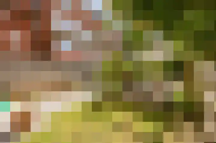 Parkweg 80 Groningen thumbnail 32