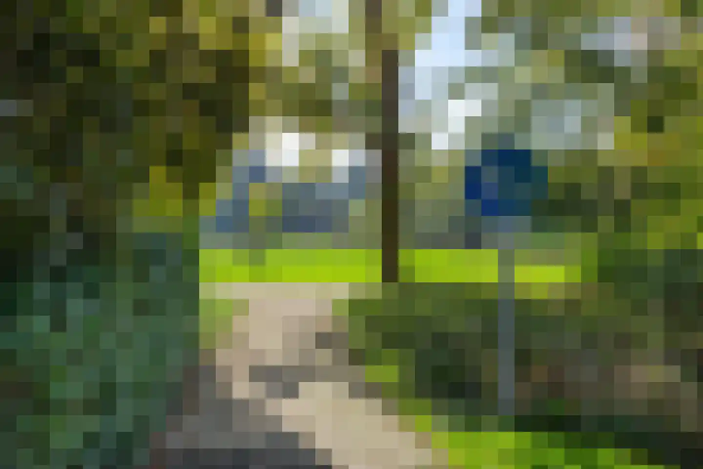 Parkweg 82 Haren Gn thumbnail 49