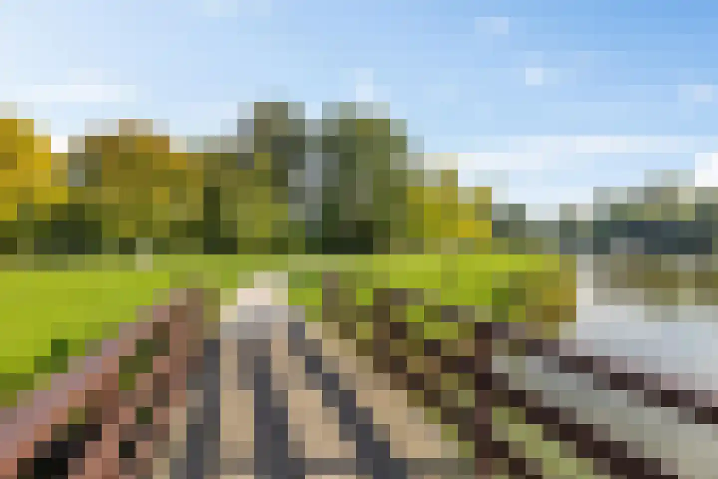Parkweg 82 Haren Gn thumbnail 50