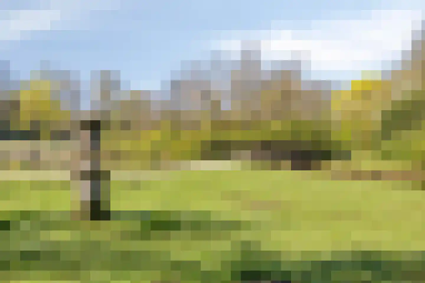 Parkweg 88 Haren Gn thumbnail 36
