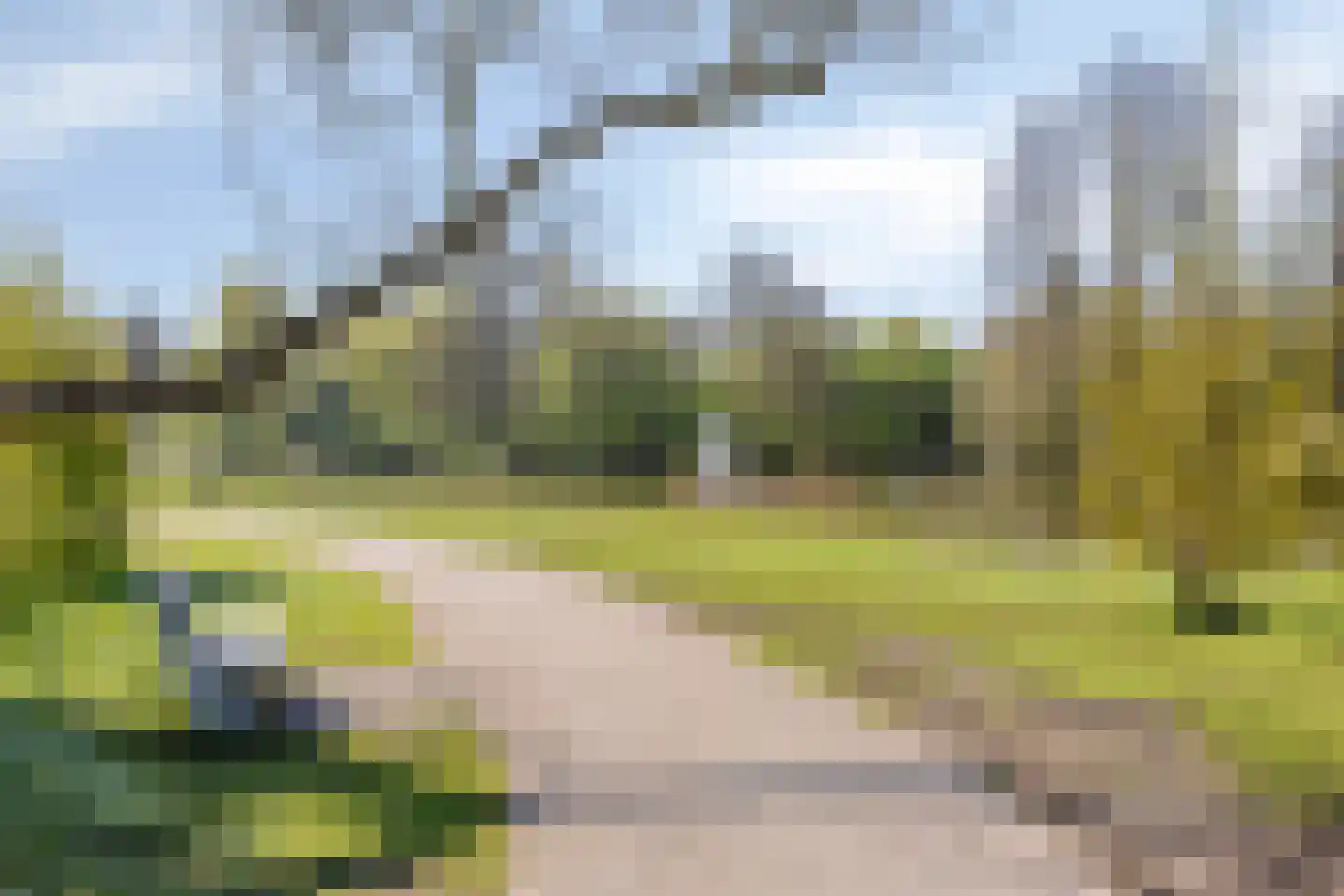 Parkweg 88 Haren Gn thumbnail 37