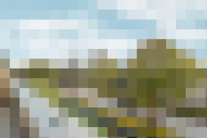 Parkwijklaan 150 Almere