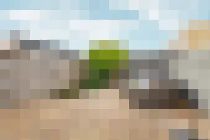 Parkwijklaan 150 Almere thumbnail 63