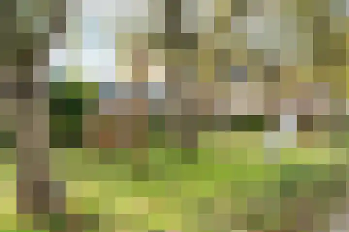 Parkwijklaan 150 Almere thumbnail 70