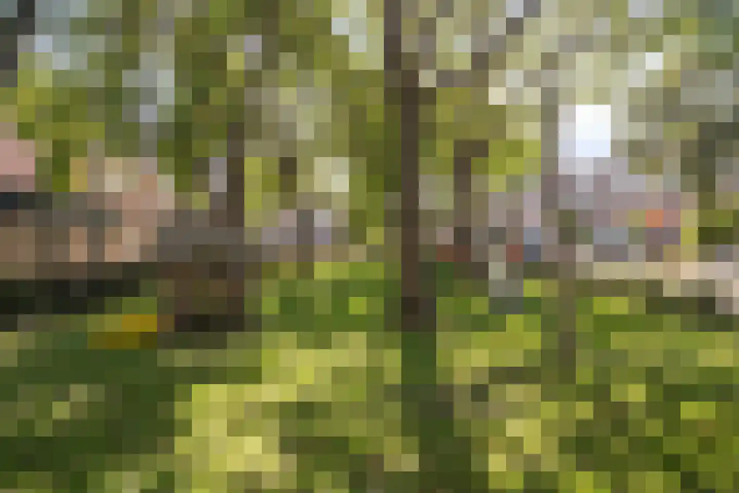 Parkwijklaan 154 Almere thumbnail 37