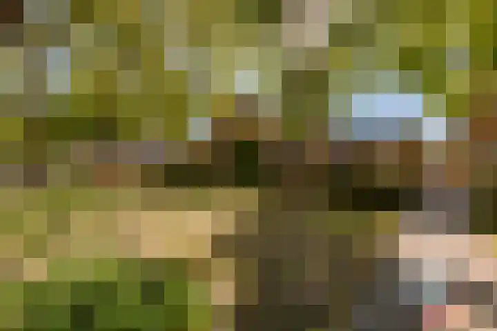 Parkwijklaan 162 Almere thumbnail 13