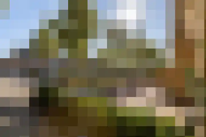 Parkwijklaan 162 Almere thumbnail 14