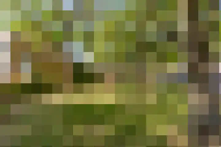 Parkwijklaan 162 Almere thumbnail 66