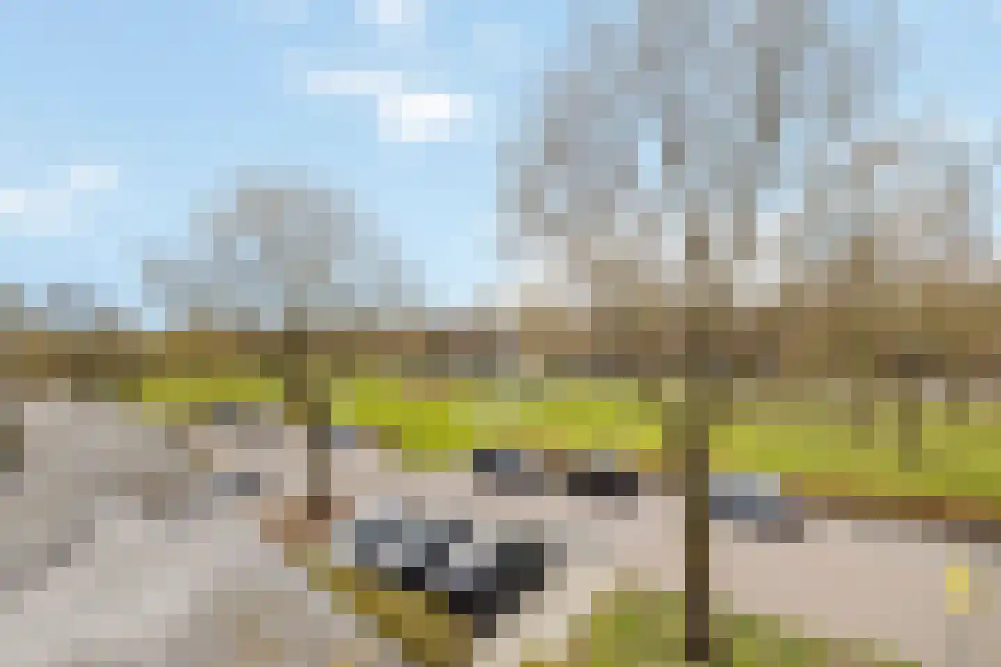 Parkwijklaan 197 Almere thumbnail 26