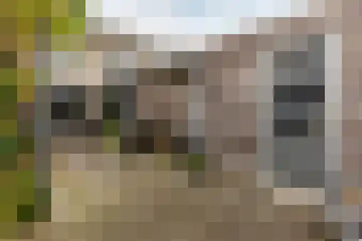 Parkwijklaan 87 Almere thumbnail 28