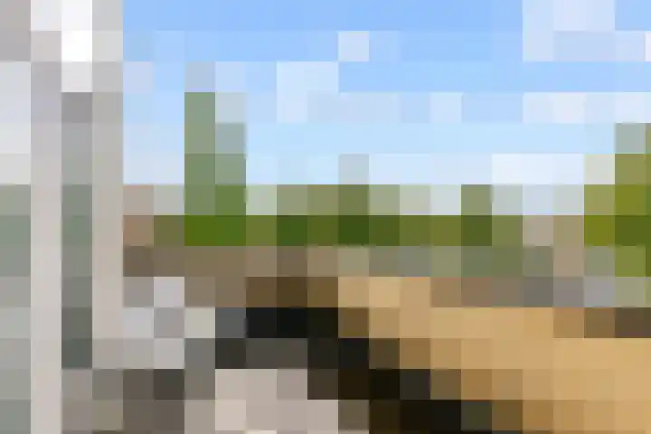 Parkwijklaan 93 Almere thumbnail 32