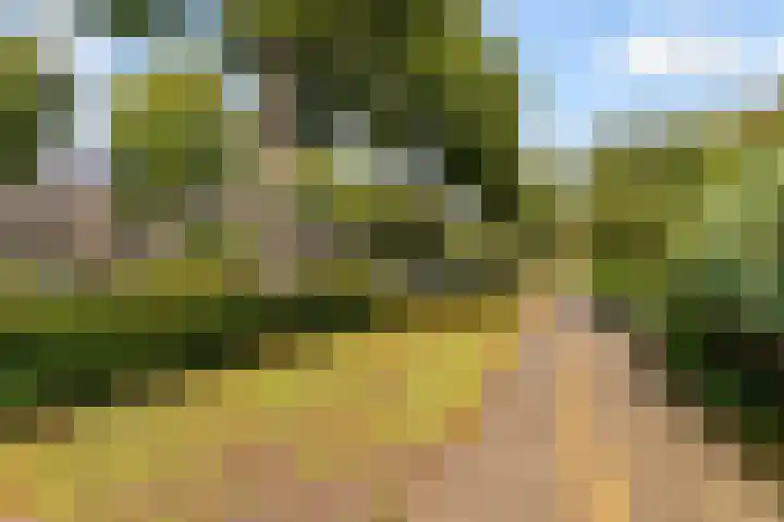 Parkwijklaan 93 Almere thumbnail 42