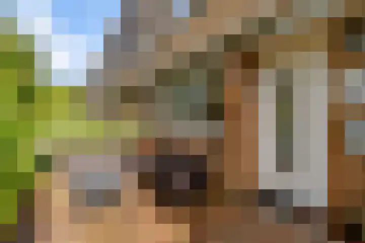 Parkwijklaan 93 Almere thumbnail 7
