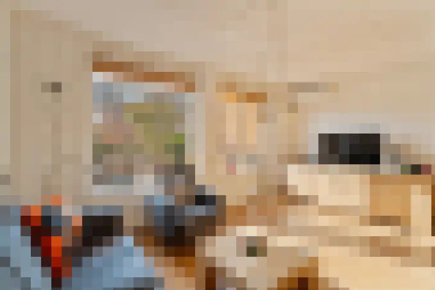 Parkzicht 13 Ouderkerk aan den IJssel thumbnail 12