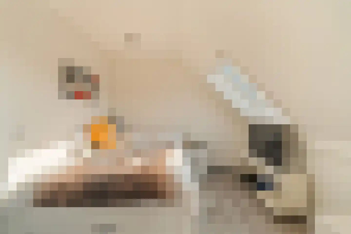 Parkzicht 13 Ouderkerk aan den IJssel thumbnail 25