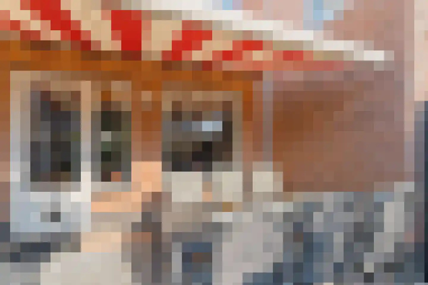 Parkzicht 13 Ouderkerk aan den IJssel thumbnail 28