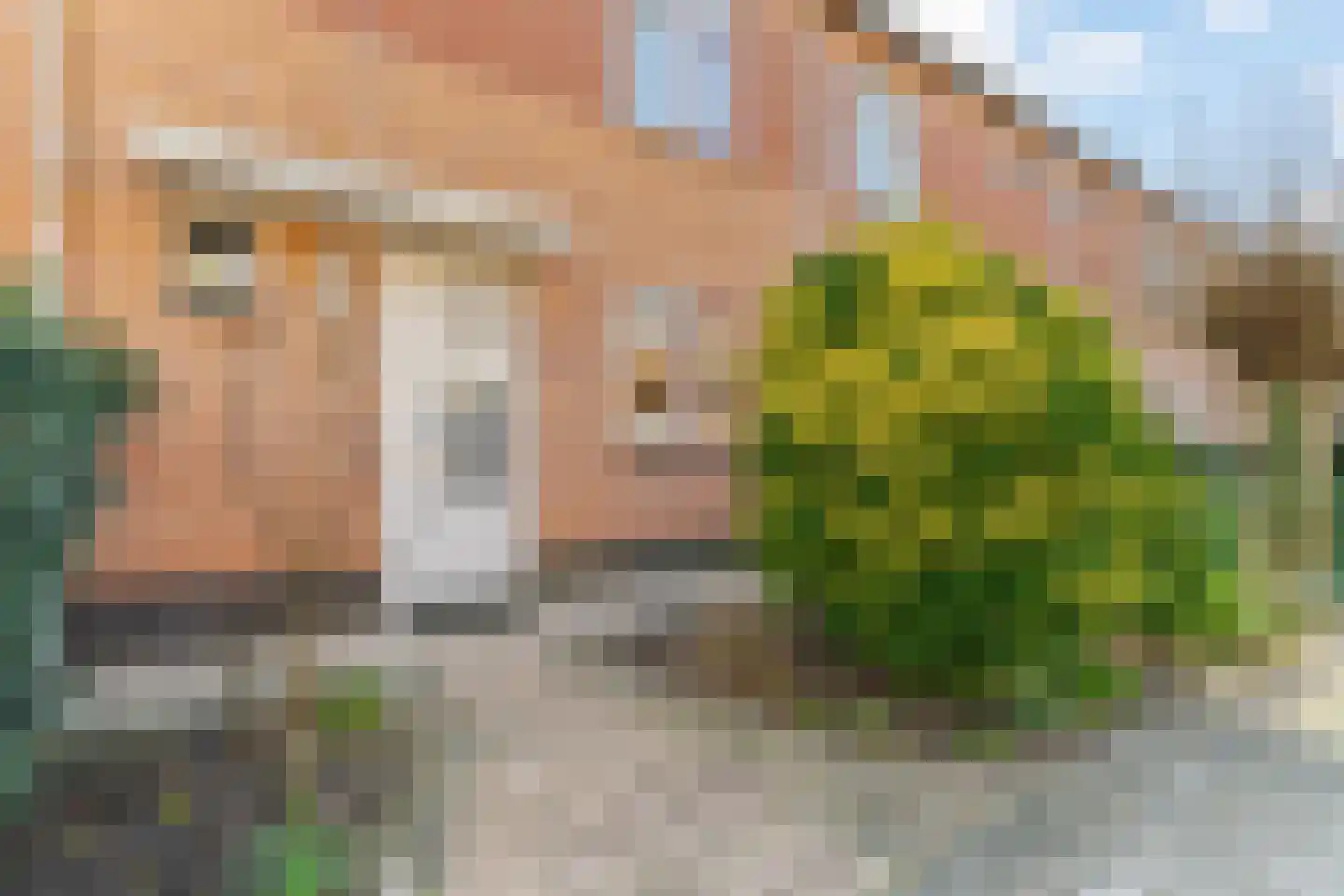 Parkzicht 13 Ouderkerk aan den IJssel thumbnail 30