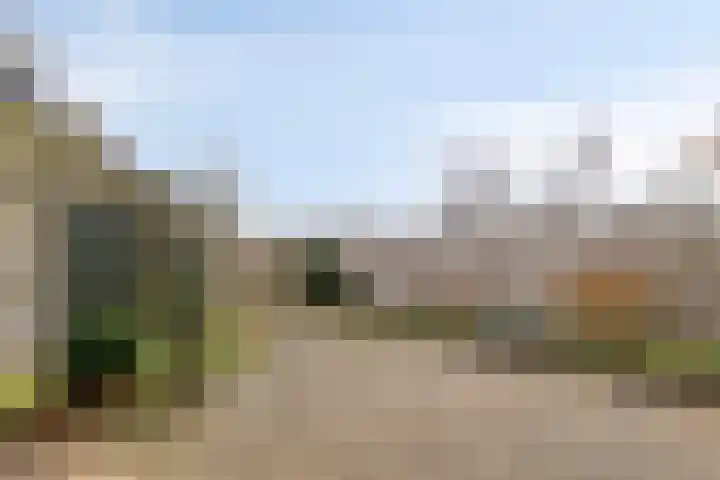 Parkzicht 19 Waarde thumbnail 14