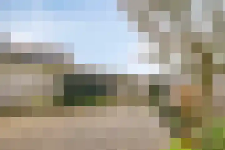 Parkzicht 19 Waarde thumbnail 4