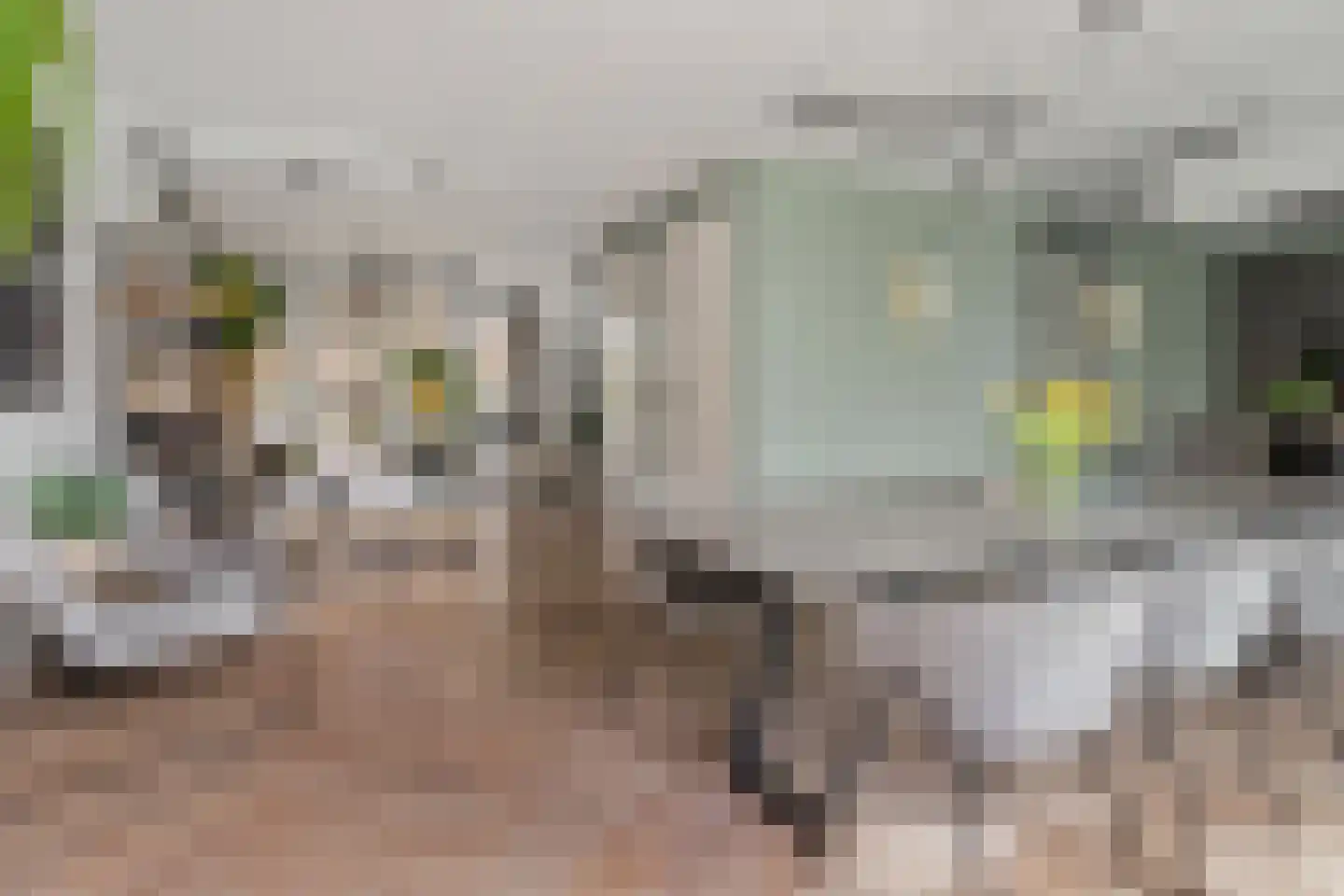 Parkzichtlaan 104 Utrecht thumbnail 14
