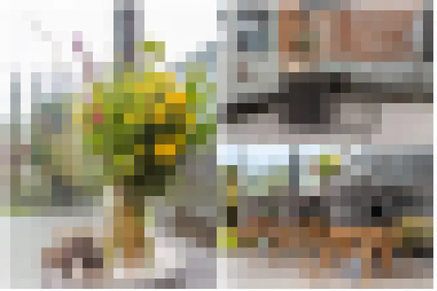 Parkzichtlaan 104 Utrecht thumbnail 40