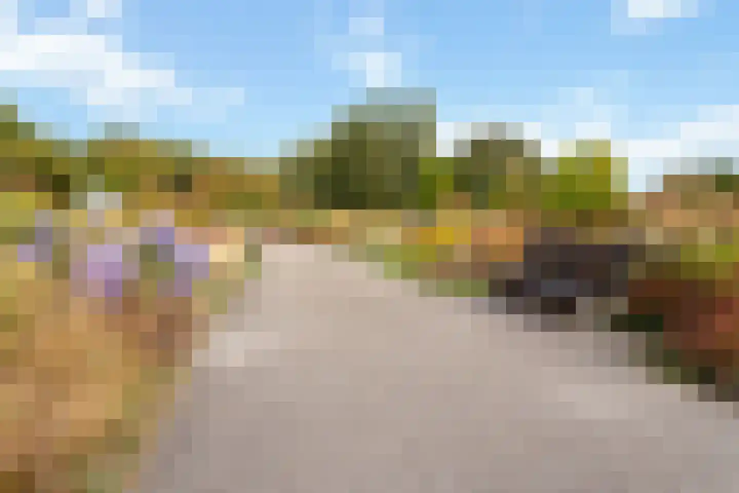 Parkzichtlaan 104 Utrecht thumbnail 48