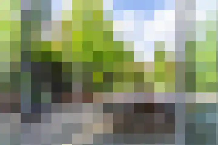 Parkzichtlaan 114 Utrecht thumbnail 21