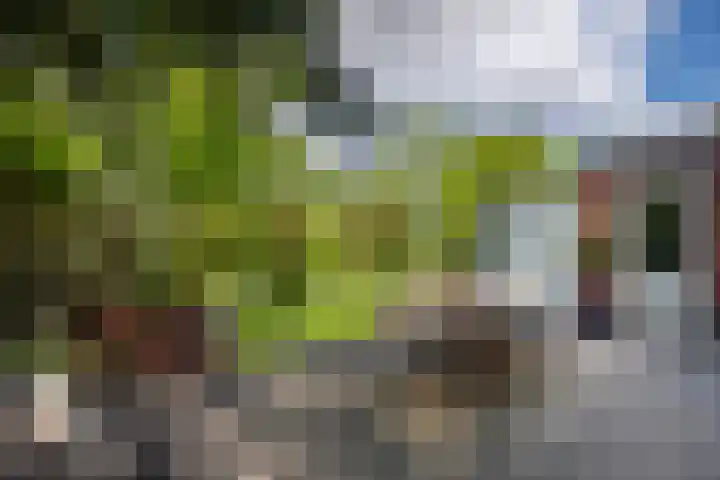 Parkzichtlaan 114 Utrecht thumbnail 22