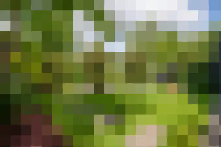 Parkzichtlaan 114 Utrecht thumbnail 23