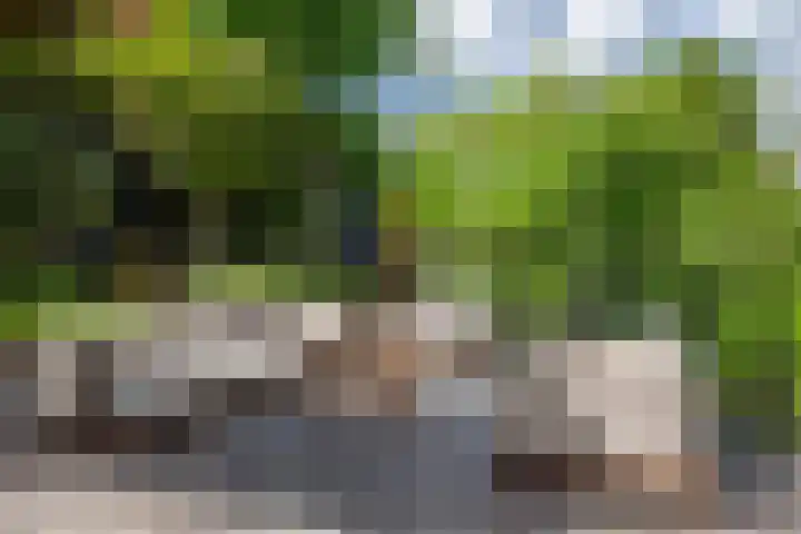 Parkzichtlaan 114 Utrecht thumbnail 24