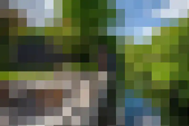 Parkzichtlaan 114 Utrecht thumbnail 25