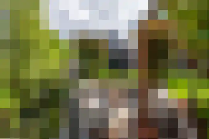 Parkzichtlaan 114 Utrecht thumbnail 26